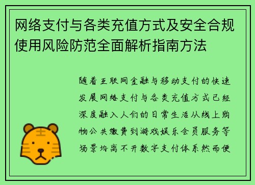 网络支付与各类充值方式及安全合规使用风险防范全面解析指南方法